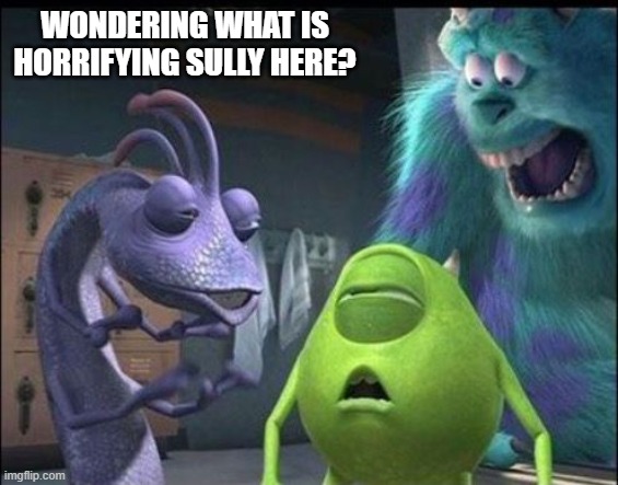 Monster's Inc | Wondering what is horrifying sully here? | image tagged in cartoons | made w/ Imgflip meme maker