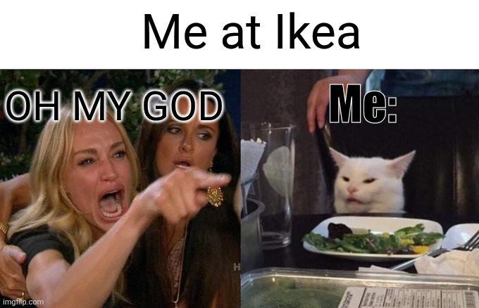 Woman Yelling At Cat | Me at Ikea; Me:; OH MY GOD | image tagged in memes,woman yelling at cat | made w/ Imgflip meme maker