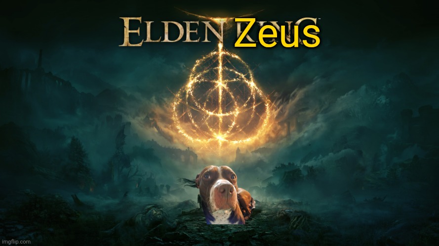 My Baby Nephew | Zeus | image tagged in memes,pitbulls,elden ring,funny memes,humor,lol | made w/ Imgflip meme maker