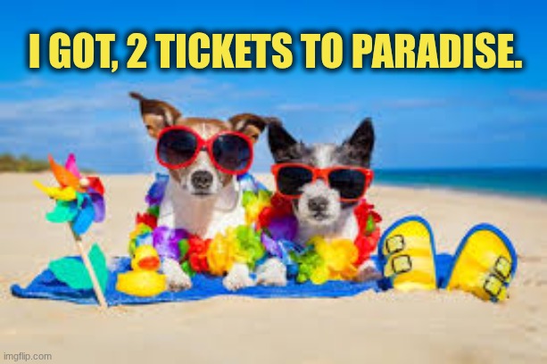 I got 2 tickets to paradise | I got, 2 tickets to paradise. | image tagged in two dogs on beach,beach | made w/ Imgflip meme maker