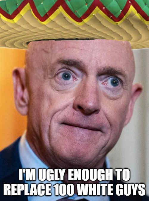 Mark Kelly Arizona | I'm ugly enough to replace 100 white guys | image tagged in mark kelly arizona | made w/ Imgflip meme maker