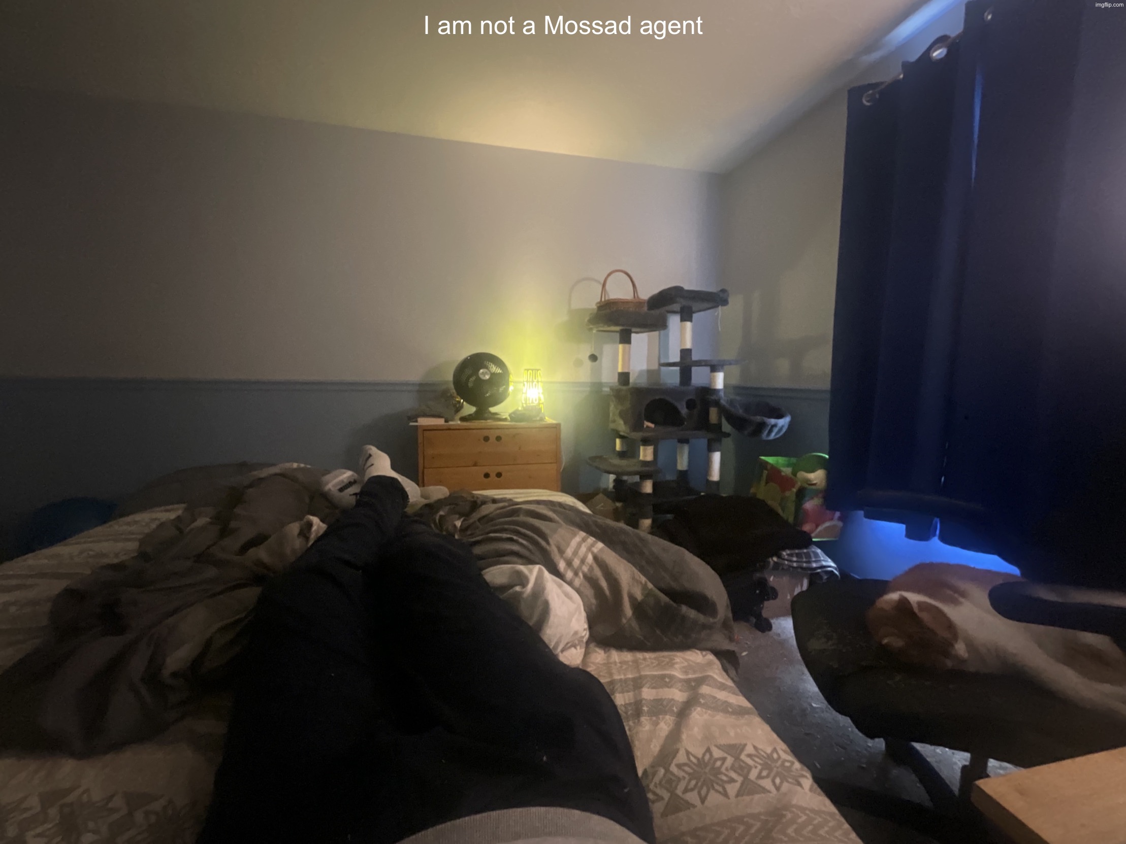 I am not a Mossad agent | image tagged in img_2534 jpeg | made w/ Imgflip meme maker