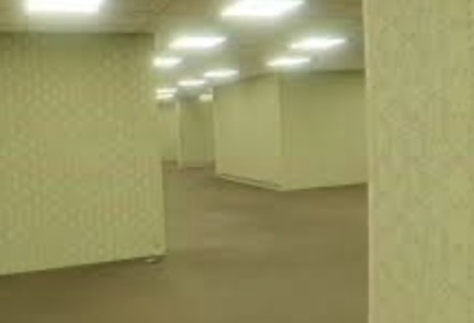 Backrooms Blank Meme Template