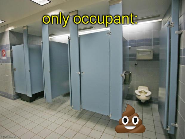 Bathroom stall | only occupant: | image tagged in bathroom stall | made w/ Imgflip meme maker