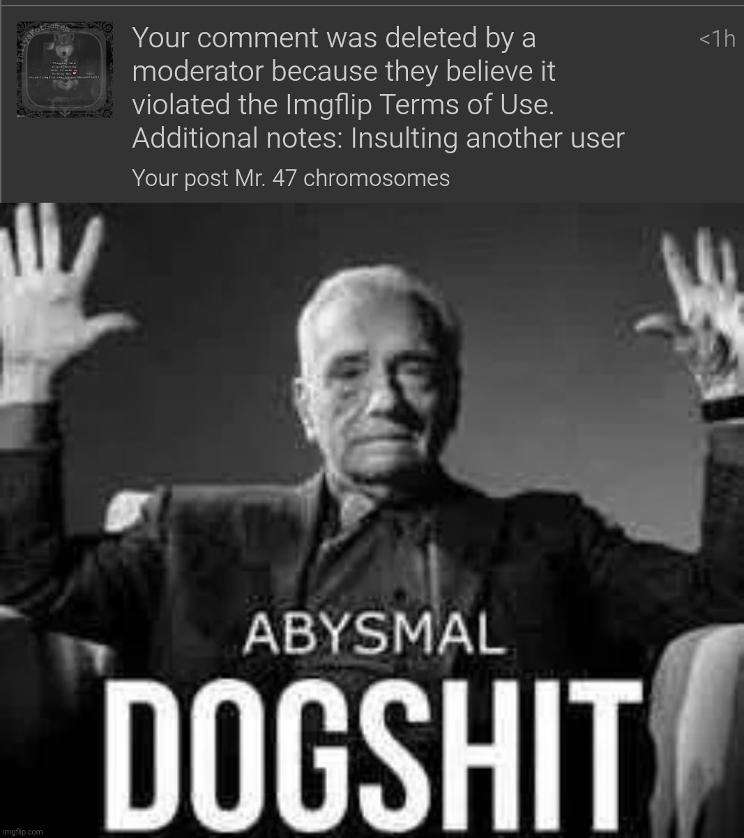 image tagged in abysmal dogshit | made w/ Imgflip meme maker