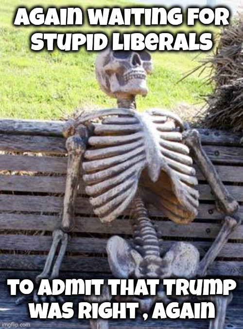 Waiting Skeleton Meme | Again waiting for
stupid liberals to admit that Trump
 was right , again | image tagged in memes,waiting skeleton | made w/ Imgflip meme maker