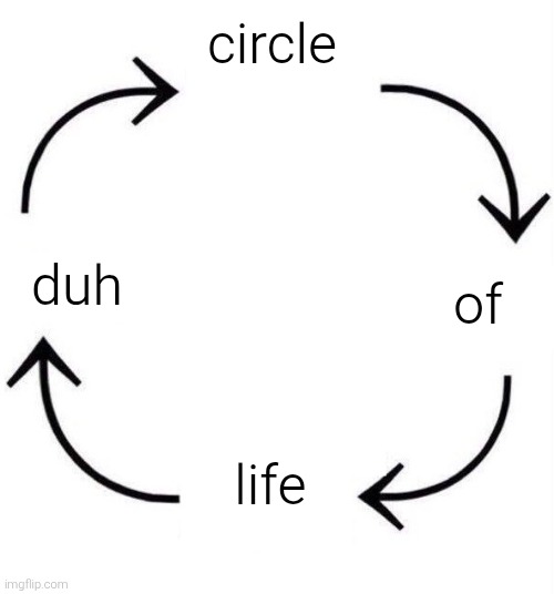 the circle of life | circle of life duh | image tagged in the circle of life | made w/ Imgflip meme maker