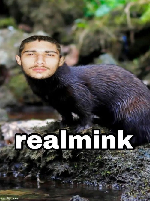 Newgens | image tagged in img_0450 jpeg | made w/ Imgflip meme maker