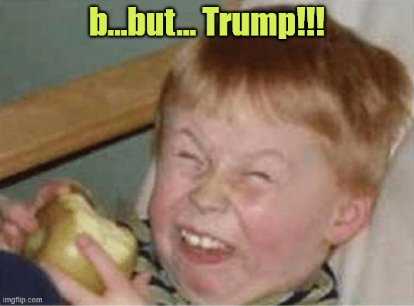 sour apple | b...but... Trump!!! | image tagged in sour apple | made w/ Imgflip meme maker