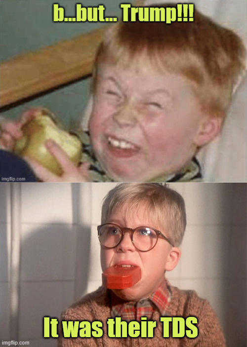 It was their TDS | image tagged in christmas story ralphie bar soap in mouth | made w/ Imgflip meme maker