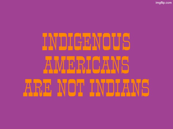 Don’t call native Americans as Indians (the reason why they are called that is because Columbus arrived thinking it was India.) | Indigenous Americans are not indians | image tagged in indians,indian,christopher columbus,native american,native americans | made w/ Imgflip meme maker