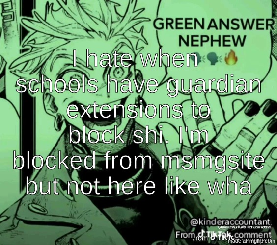 green answer nephew | I hate when  schools have guardian extensions to block shi. I'm blocked from msmgsite but not here like wha | image tagged in green answer nephew | made w/ Imgflip meme maker