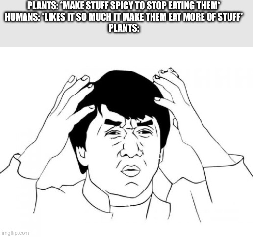 Jackie Chan WTF | Plants: *make stuff spicy to stop eating them*


Humans: *likes it so much it make them eat more of stuff*


Plants: | image tagged in memes,jackie chan wtf | made w/ Imgflip meme maker