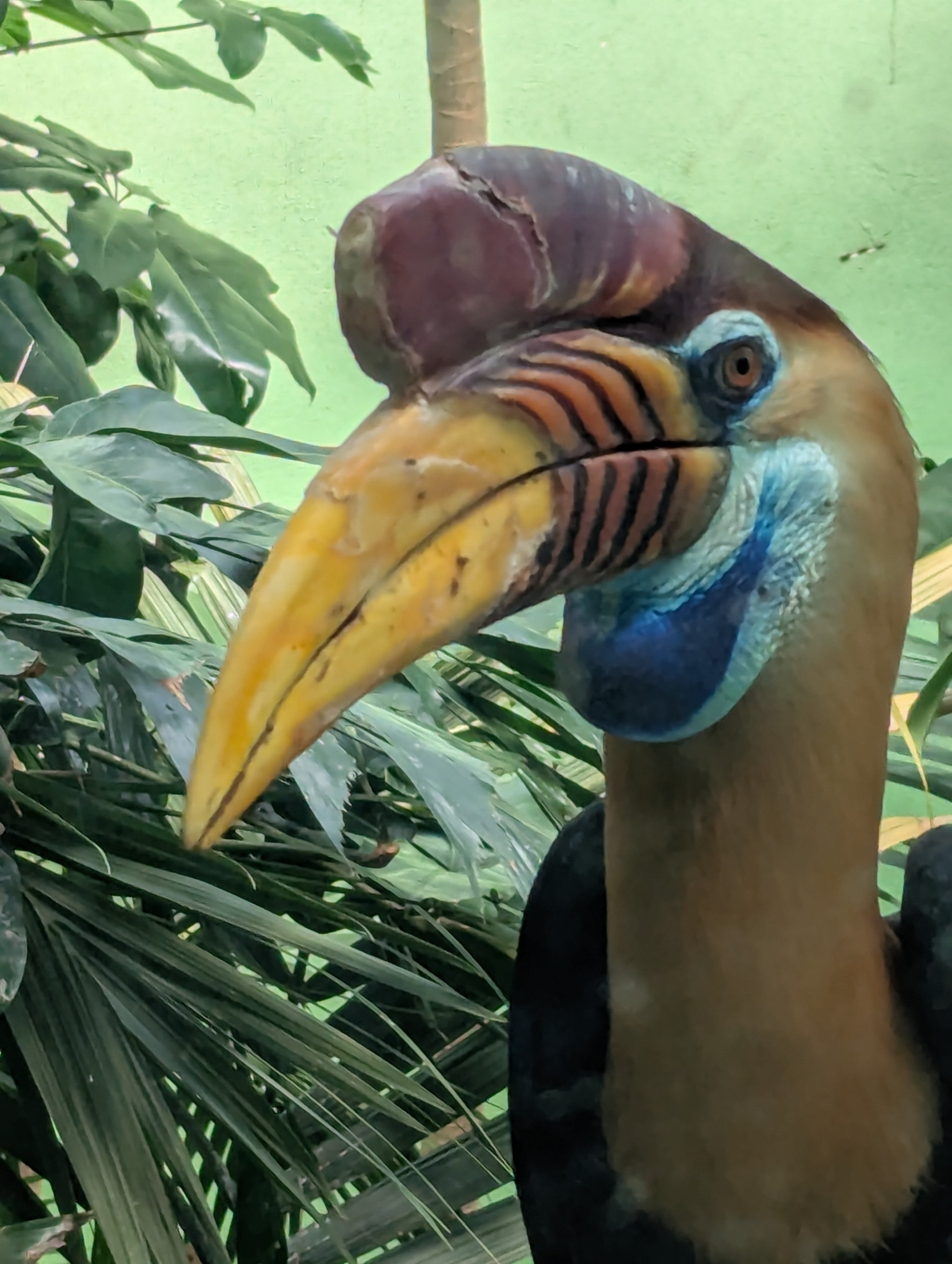 Disappointed bird Blank Meme Template