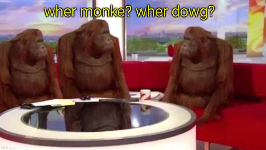 orangutan interview | wher monke? wher dowg? | image tagged in orangutan interview | made w/ Imgflip meme maker