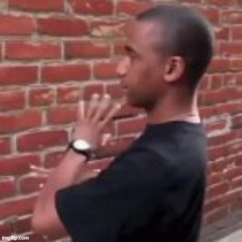 Brickfighter | image tagged in brickfighter | made w/ Imgflip meme maker