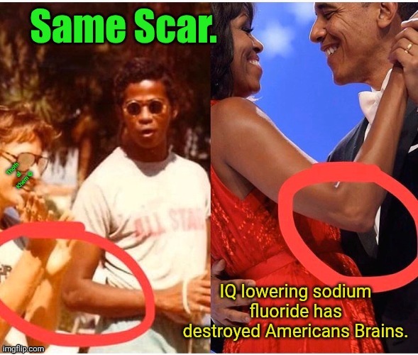 Michelle Obama or ????? | image tagged in i've known this for 19 years,i've been off fluoride for 10,fluoride lowers iq,michelle obama,barack obama,thoth al khem | made w/ Imgflip meme maker