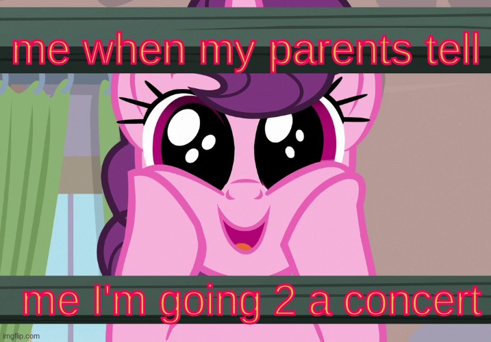lowkey me | me when my parents tell; me I'm going 2 a concert | image tagged in surprised sugar belle mlp | made w/ Imgflip meme maker