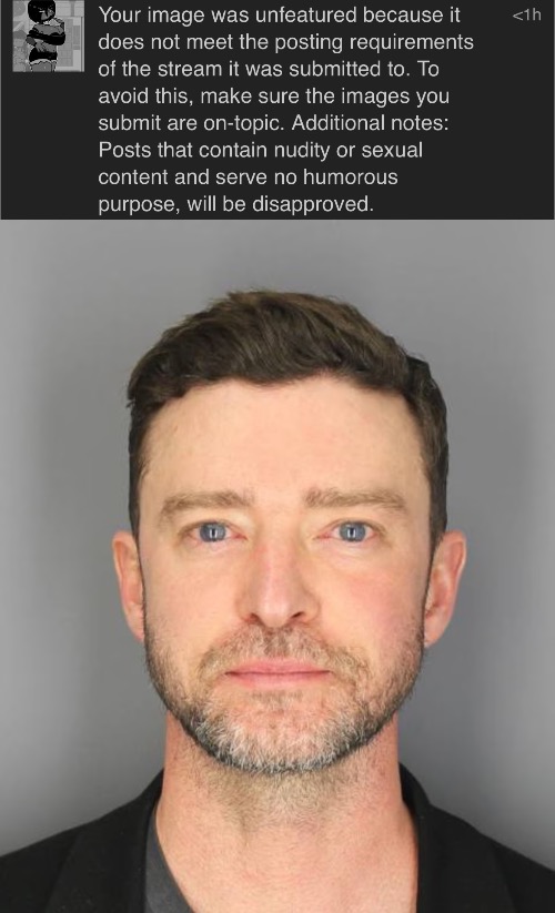 It was marked NSFW, but I guess it wouldn’t matter | image tagged in justin timberlake dui mugshot | made w/ Imgflip meme maker