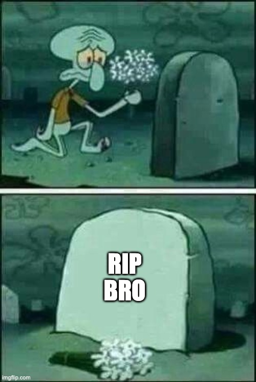 RIP
Bro | image tagged in grave spongebob | made w/ Imgflip meme maker