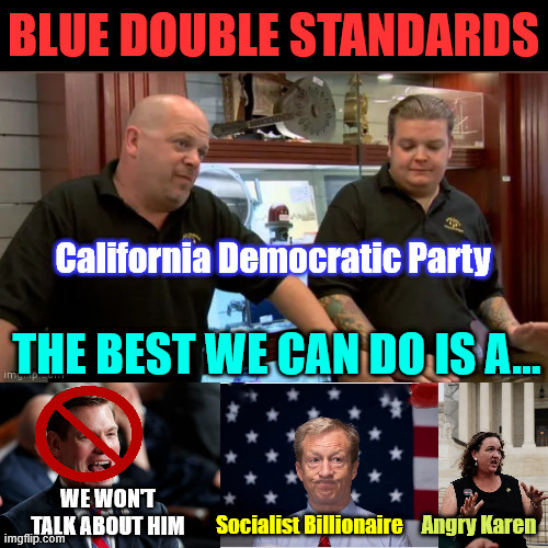 Blue double standards | Blue Double Standards; California Democratic Party; The best we can do is a... We won't talk about him; Angry Karen; Socialist Billionaire | image tagged in best we can do,eric swalwell,tom steyer,katie p rker,blue double standards | made w/ Imgflip meme maker