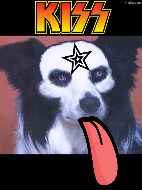 KISS Dog | image tagged in dogs,funny dogs,kiss,bands,gene simmons,tongue | made w/ Imgflip meme maker