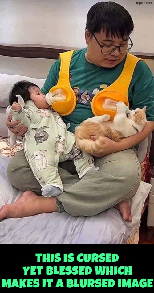 Cursed And Blessed=Blursed | This is cursed yet blessed which makes it a blursed image | image tagged in cursed images,blursed,blessed,cats,babies,funny memes | made w/ Imgflip meme maker