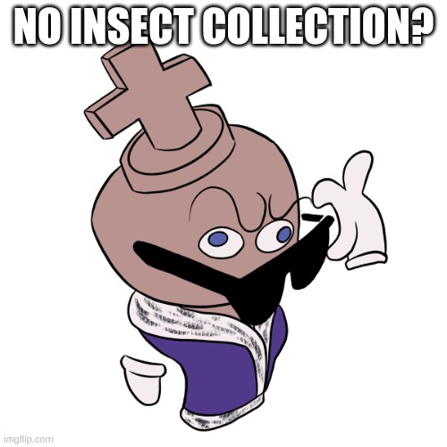 Kinger No What? Meme | No Insect Collection? | image tagged in kinger no what meme | made w/ Imgflip meme maker