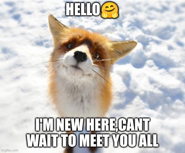 What Does The Fox Say? | hello🤗; i'm new here,cant wait to meet you all | image tagged in what does the fox say | made w/ Imgflip meme maker
