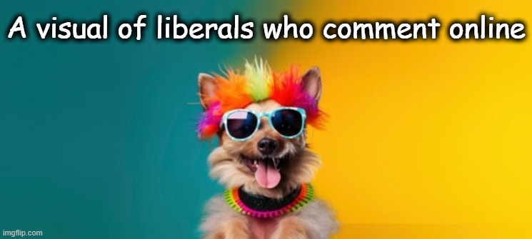 Darn Close Resemblance | A visual of liberals who comment online | image tagged in liberals,gibberish,nonsense,illogical,what is wrong with you,confused confusing confusion | made w/ Imgflip meme maker