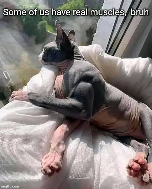 Some of us have real muscles,  bruh | made w/ Imgflip meme maker