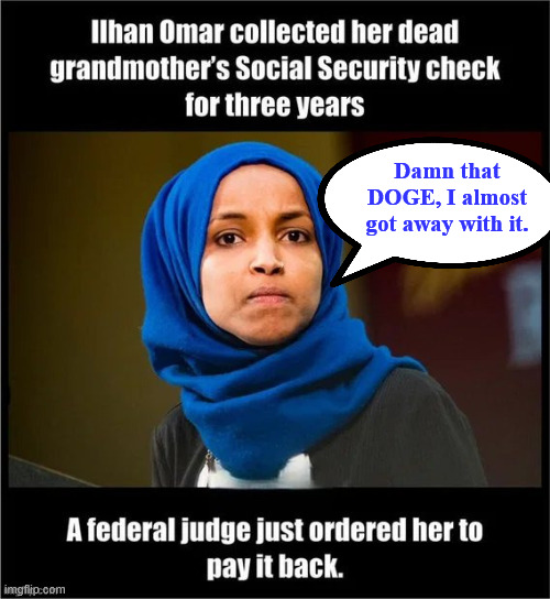 Remember no one is above the law?  What a joke. | Damn that DOGE, I almost got away with it. | image tagged in omar,fraud | made w/ Imgflip meme maker