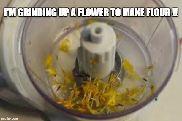 ENGLISH: I'm grinding up a flower to make flower. | I'm grinding up a flower to make flour !! | image tagged in funny,humor,play on words,homophones,english | made w/ Imgflip meme maker