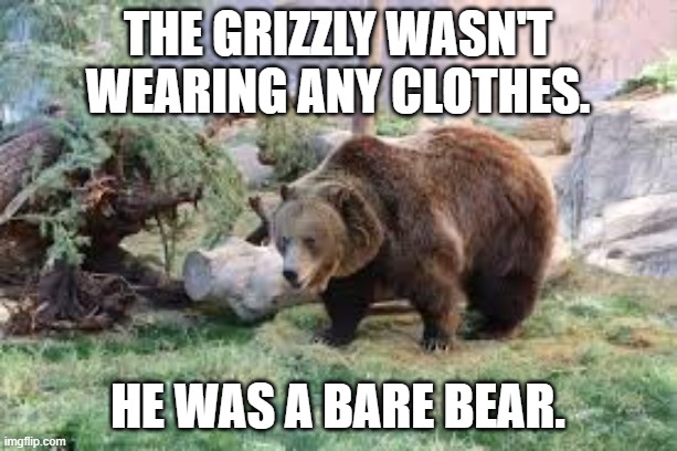 The grizzly wasn't wearing any clothes. That's right, he's a bare bear. | The grizzly wasn't wearing any clothes. He was a bare bear. | image tagged in funny,humor,play on words,bear,clothes | made w/ Imgflip meme maker