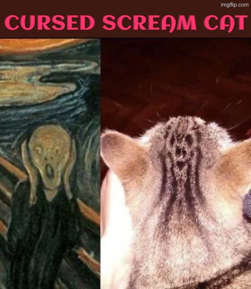 Cursed Scream Cat | Cursed Scream Cat | image tagged in cats,funny cats,cursed images,the scream,cool stuff,art | made w/ Imgflip meme maker