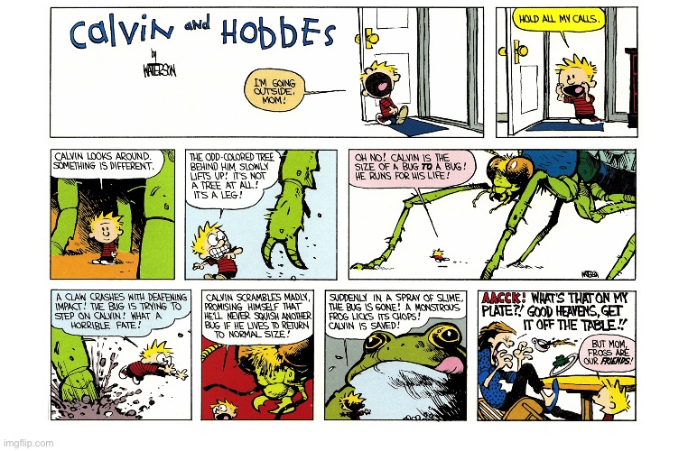 image tagged in calvin and hobbes,comics | made w/ Imgflip meme maker