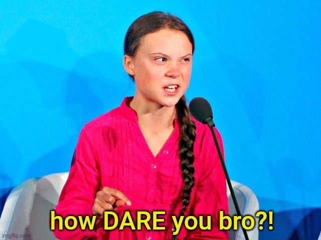 how dare you | how DARE you bro?! | image tagged in how dare you | made w/ Imgflip meme maker