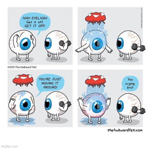 The eyes have it | image tagged in comics,the awkward yeti,eyeballs,eyelash,flush it out,crying | made w/ Imgflip meme maker