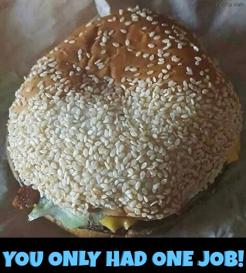 Would You Like Some Burger With Your Sesame Seeds | You only had one job! | image tagged in you had one job,buns,hamburgers,duhhh dumbass,epic fail,do you are have stupid | made w/ Imgflip meme maker