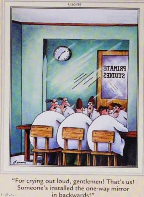 The primates have turned the tables (and the mirror) on the scientists… | image tagged in the far side,comics,scientists,one way mirror,backwards,primate studies | made w/ Imgflip meme maker