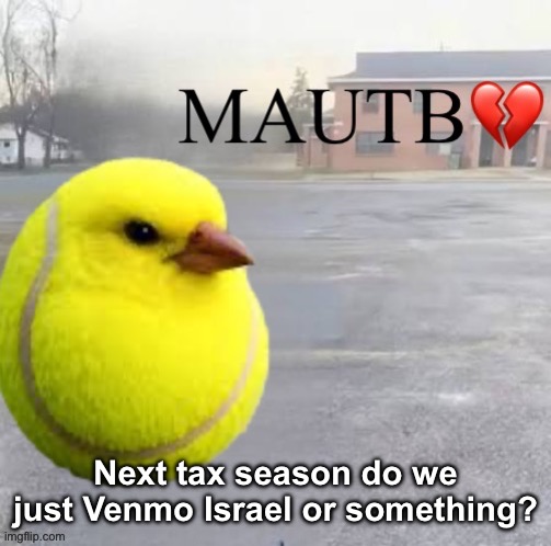 Mods Asleep, Upvote Tennis Bird | Next tax season do we just Venmo Israel or something? | image tagged in mods asleep upvote tennis bird | made w/ Imgflip meme maker