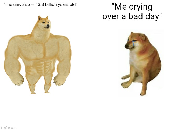 Buff Doge vs. Cheems | "The universe — 13.8 billion years old"; "Me crying over a bad day" | image tagged in memes,buff doge vs cheems | made w/ Imgflip meme maker