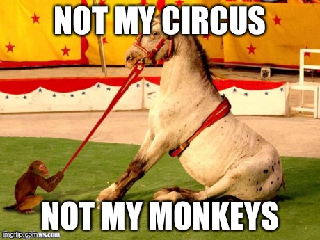 NOT MY CIRCUS NOT MY MONKEYS | image tagged in horse,monkey,drama,so much drama,polish | made w/ Imgflip meme maker