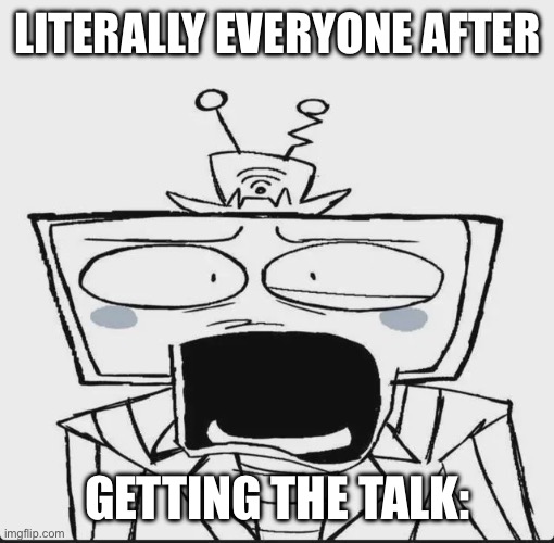 Literally everyone after; Getting The Talk: | image tagged in fun | made w/ Imgflip meme maker