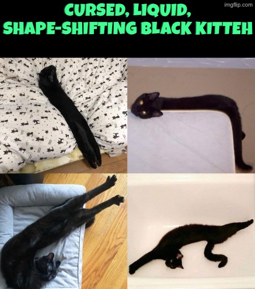 Cursed Kitteh | Cursed, liquid, shape-shifting black kitteh | image tagged in cats,funny cats,shape shifter,cursed images,black cat,cats are liquid | made w/ Imgflip meme maker