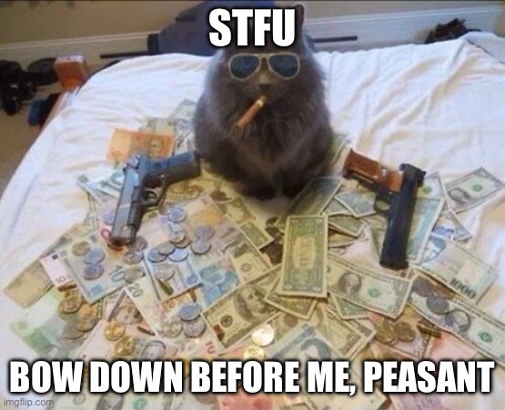 thug life cat with guns and money | Stfu Bow down before me, peasant | image tagged in thug life cat with guns and money | made w/ Imgflip meme maker