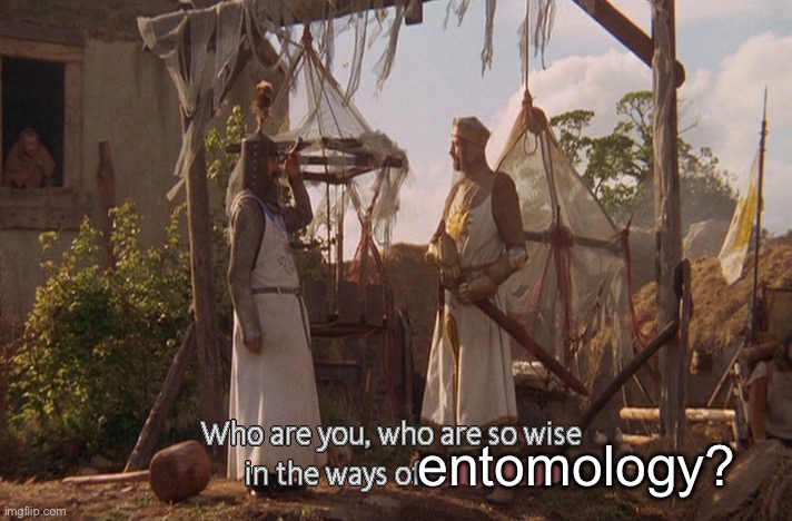 Who are you, so wise In the ways of science. | entomology? | image tagged in who are you so wise in the ways of science | made w/ Imgflip meme maker