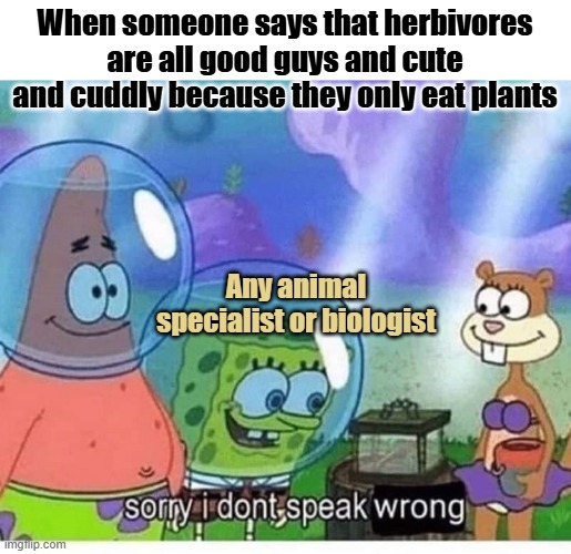 Herbivores are deadly | When someone says that herbivores are all good guys and cute and cuddly because they only eat plants; Any animal specialist or biologist | image tagged in sorry i dont speak wrong,diet,animals,cute animals,dinosaurs,carnivores | made w/ Imgflip meme maker