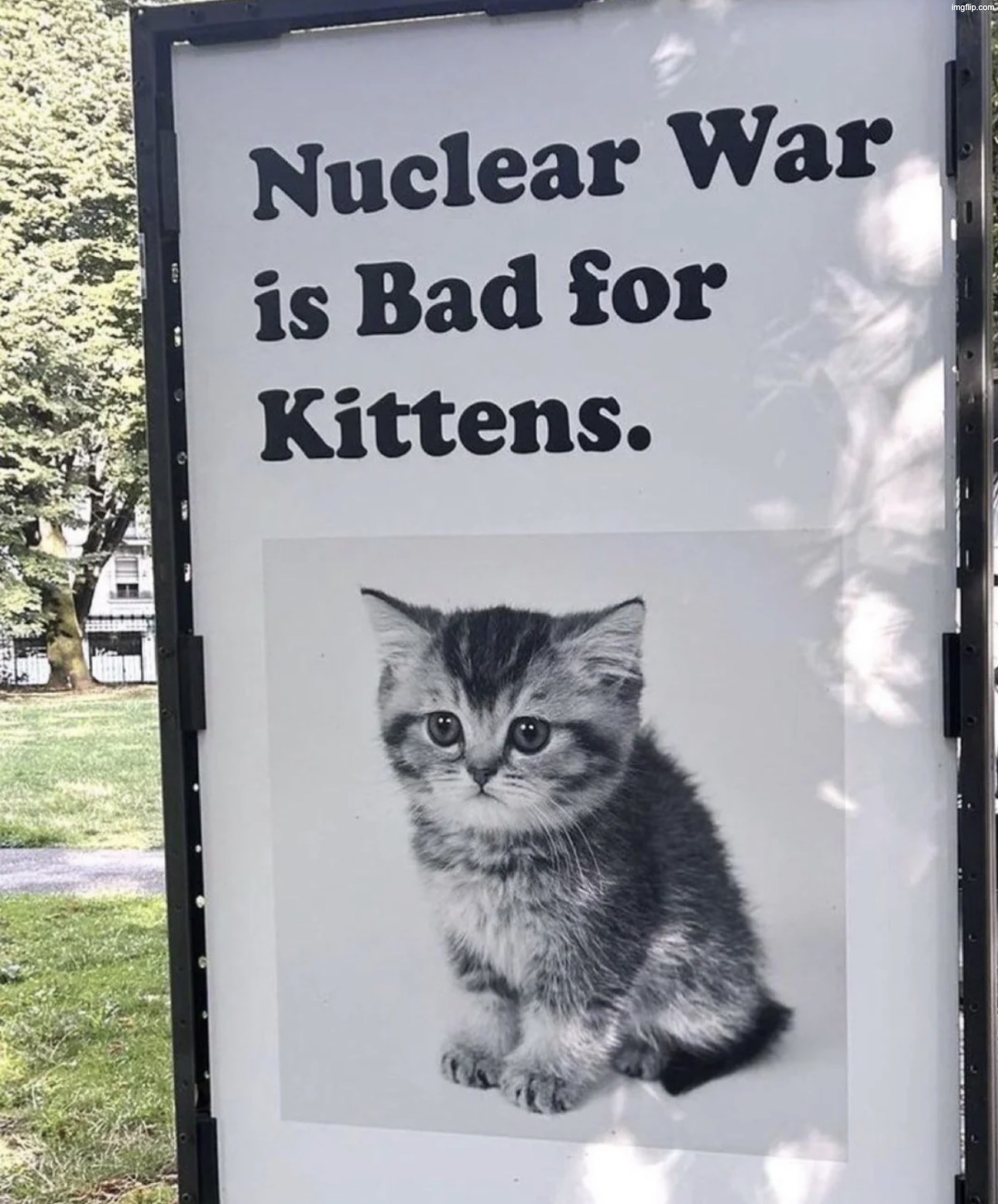 image tagged in img_2536 jpeg | made w/ Imgflip meme maker