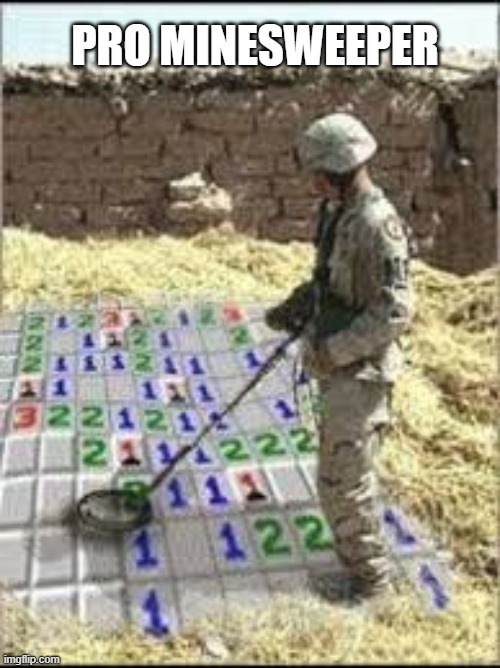 Pro minesweeper meme | pro minesweeper | image tagged in pro minesweeper png | made w/ Imgflip meme maker
